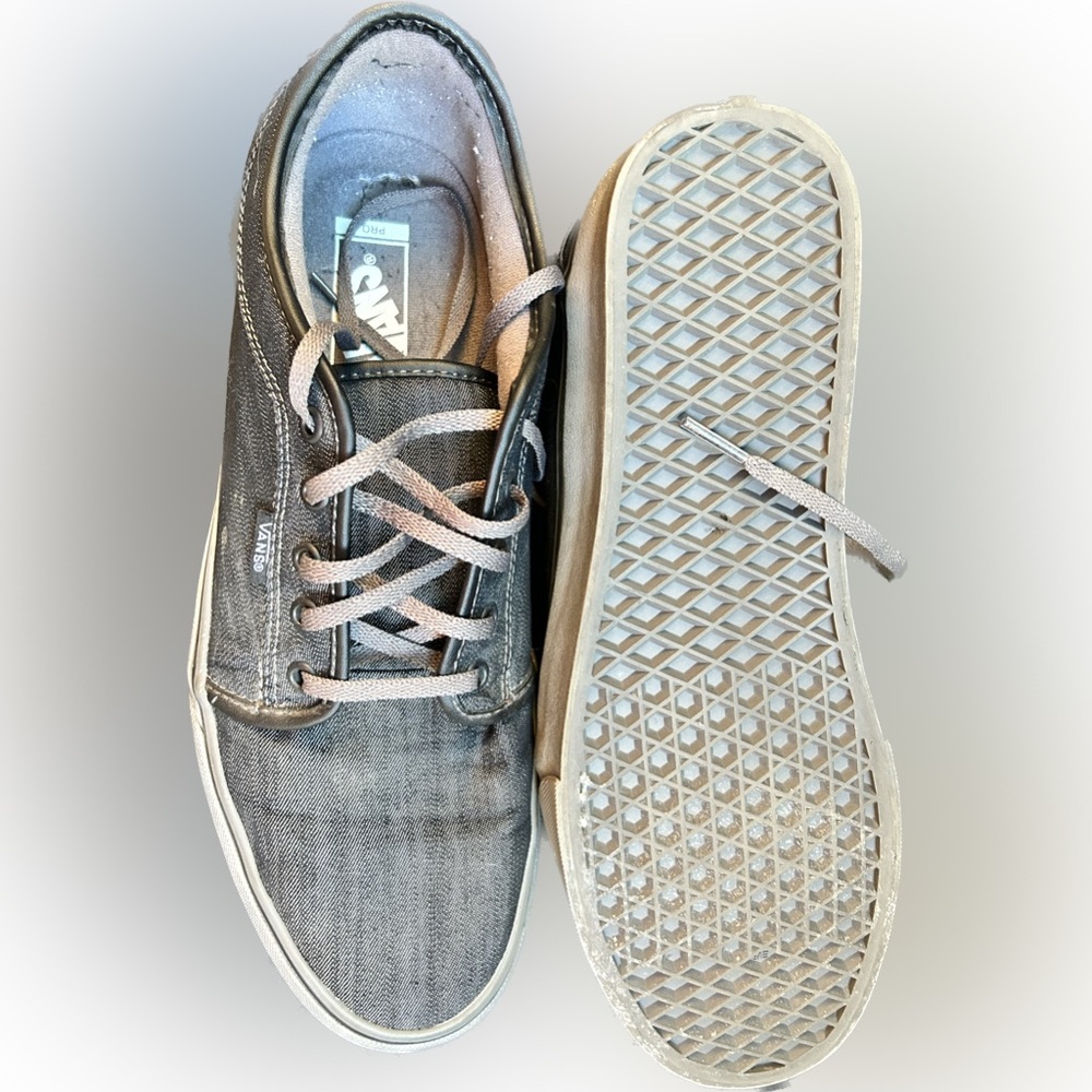 Nike canvas low tops skateboard shoes